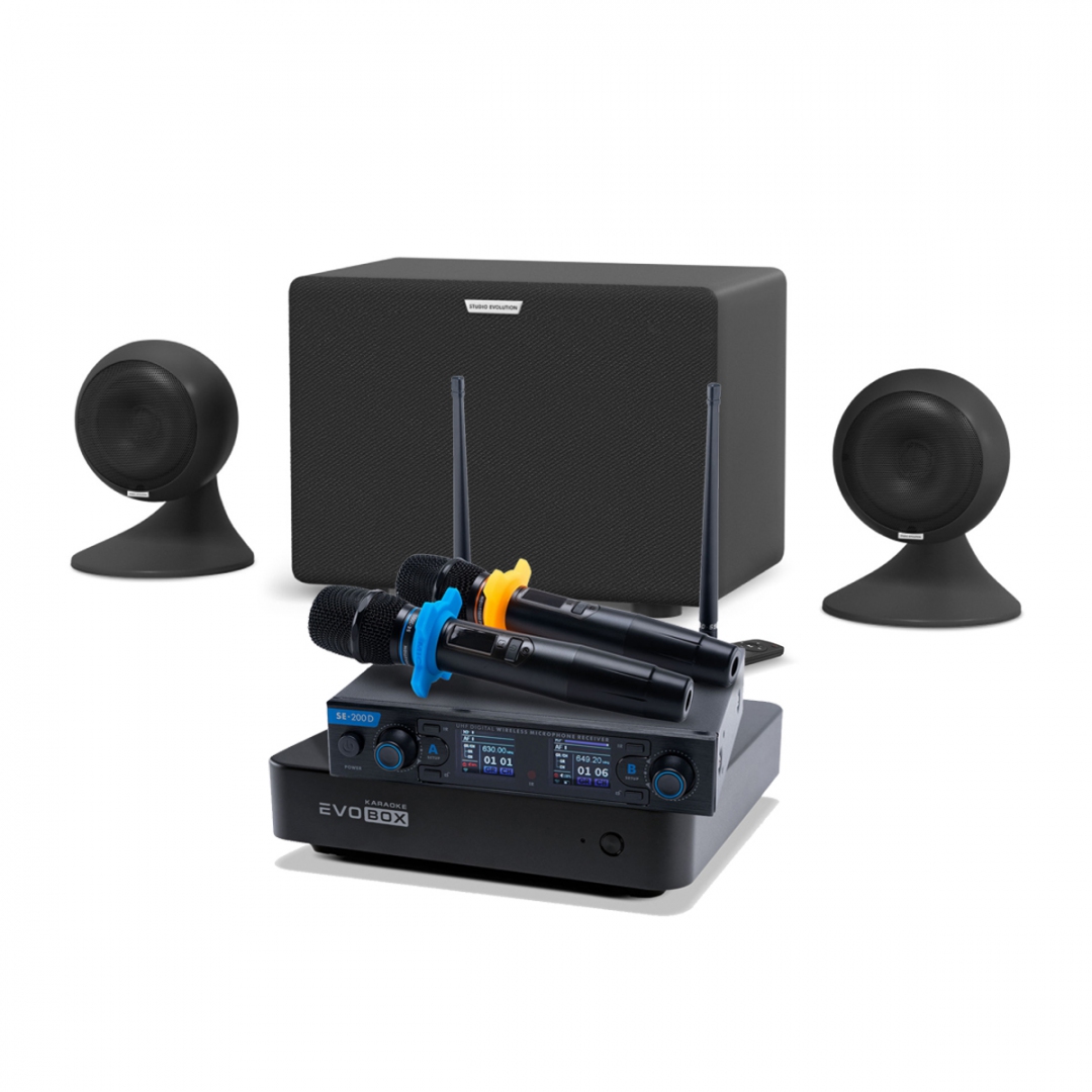 караоке-комплект EVOBOX + EvoSound Sphere 2.1 в Ангарске