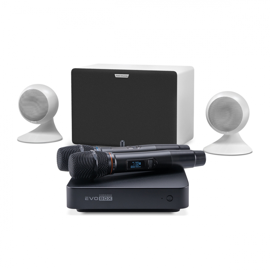 караоке-комплект EVOBOX Classic + EvoSound Sphere 2.1 в Ангарске