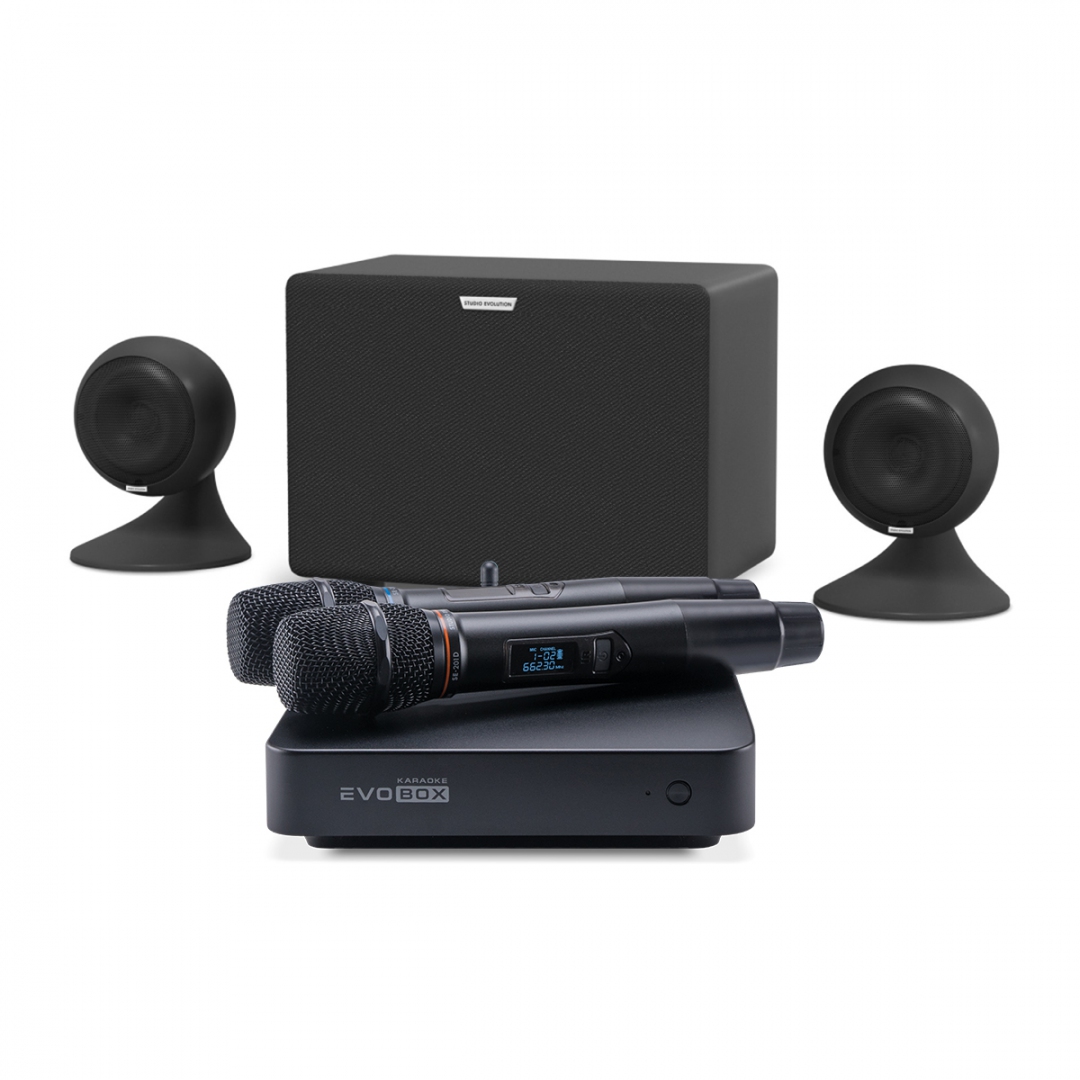 караоке-комплект EVOBOX Plus + EvoSound Sphere 2.1 в Ангарске