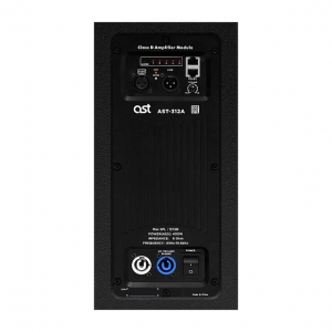 Активная акустическая система AST-312A в Ангарске