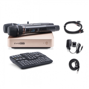 EVOBOX Plus караоке-система для дома в Ангарске