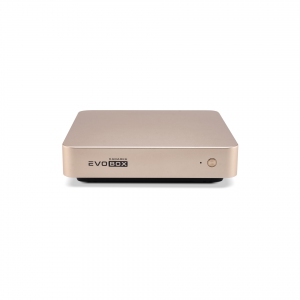 EVOBOX с микрофонами в Ангарске